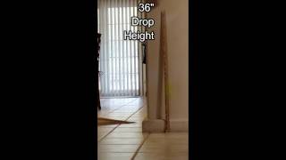 Tennis Ball Drop Exponential Decay