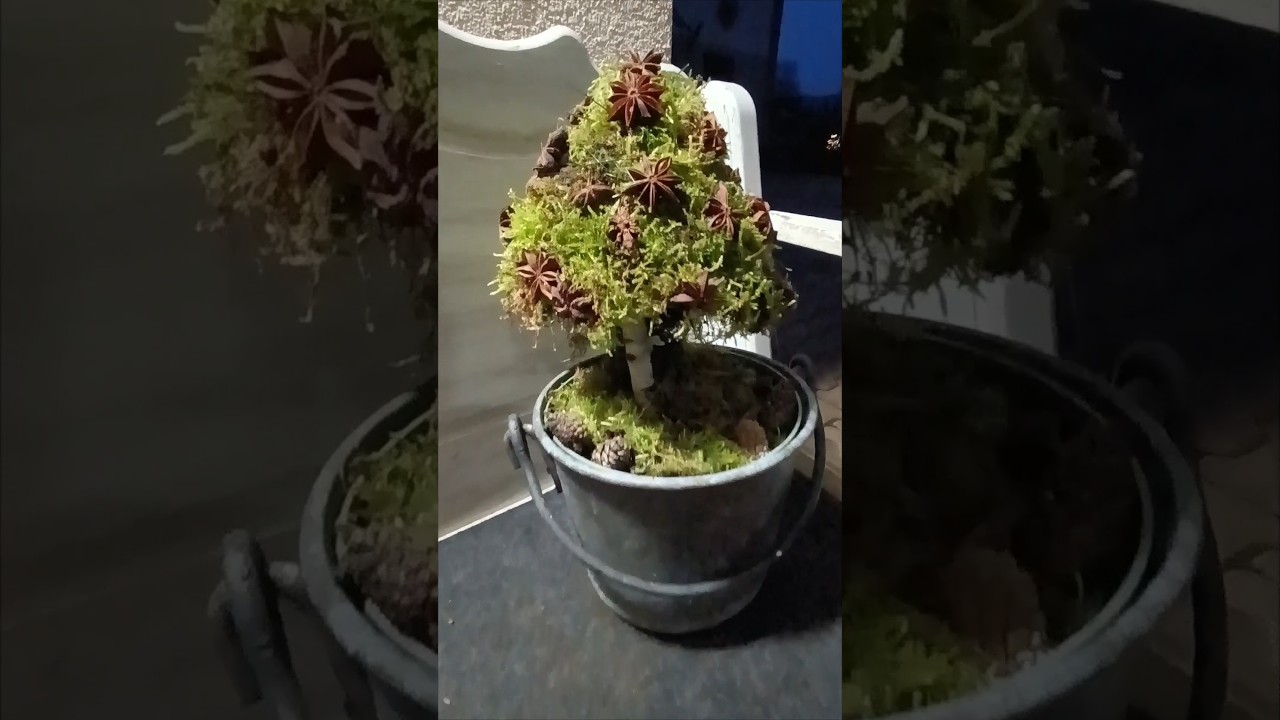 Schlichte Winterdeko aus der Natur...