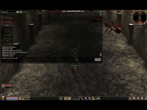 Metin2 Ege hakaret