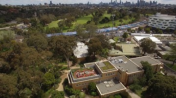 Greening Melbourne — Made Possible by Melbourne