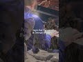 Night Part 1: Snow by George Winston