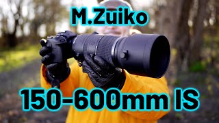 OM System M.Zuiko 150600mm IS ED, the LONGEST M43 lens, and it's GREAT!  RED35 Review