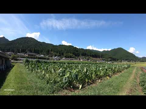 Amazing Countryside of Kyoto. Japan travel. Ohara 大原