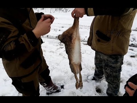 Как разделать зайца за 1 минуту на охоте. Миллионы людей не знают о таком способе