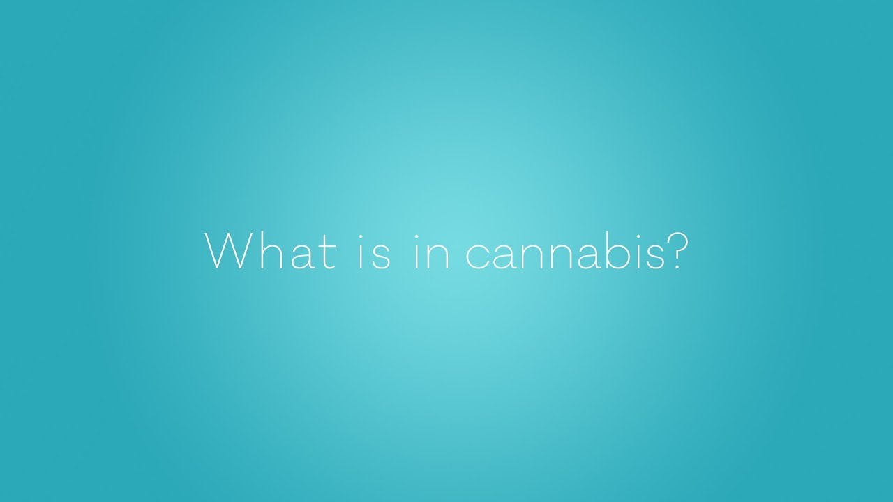 What is in Cannabis