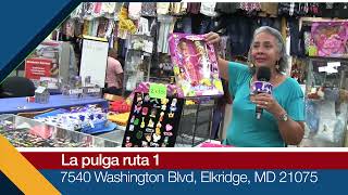 LA PULGA RUTA 1