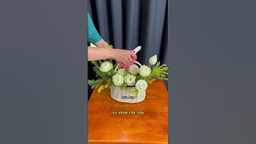 Cách cắm giỏ hoa Sen đơn giản tại nhà #hieudamflorist #daycamhoa
