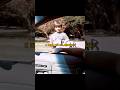 Полицейские оценили гениальность пацана😎