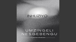 Inhliziyo