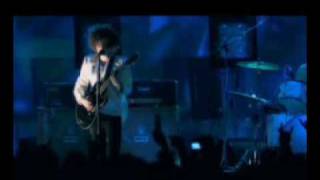 Please Experience Wolfmother Live DVD Trailer