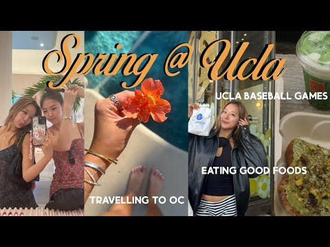 FINISHING UP MY FRESHMEN YEAR AT UCLA AS AN INTERNATIONAL STUDENT VLOG! : now im back in korea!
