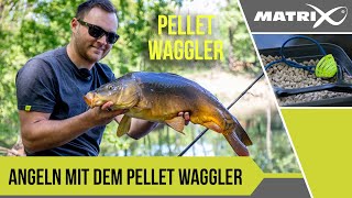 ***MATCH ANGELN TV***PELLET WAGGLER BASICS I FELIX SCHEUERMANN I