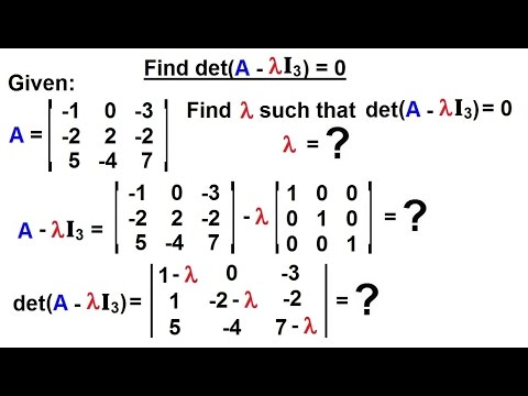 Video: Ko nozīmē Lambda lineārajā algebrā?