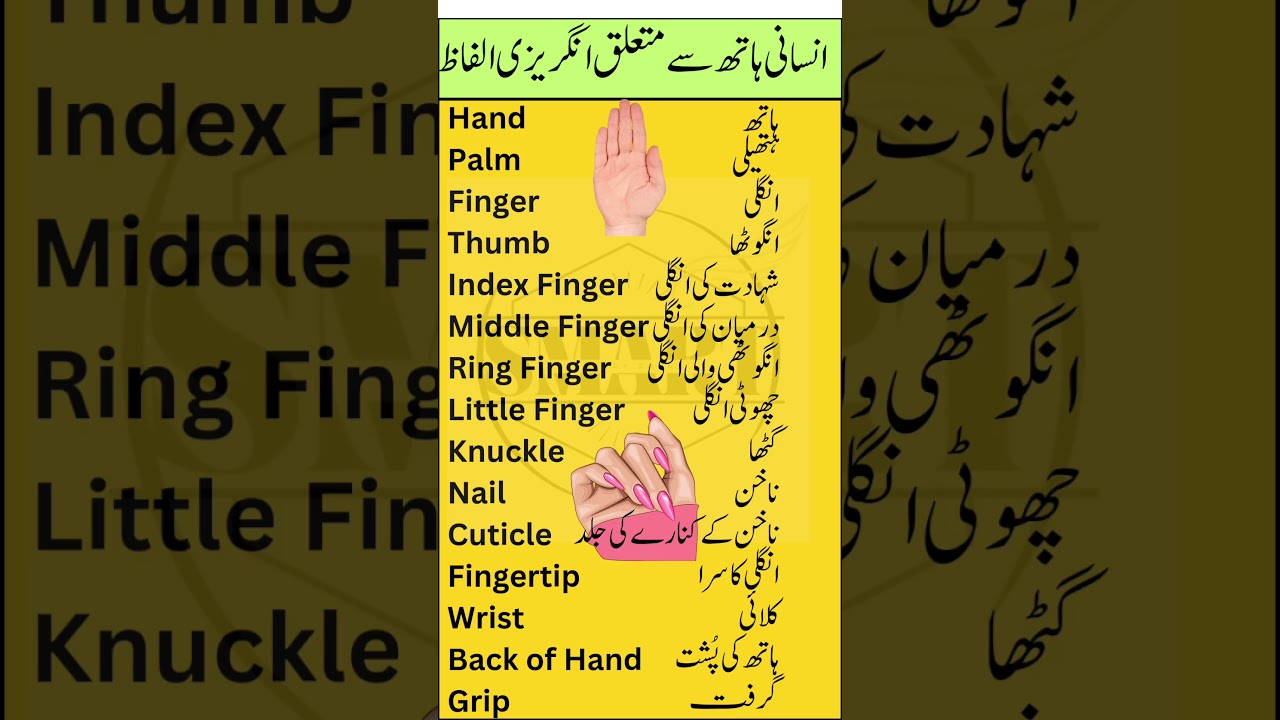 Improve English vocabulary | Learn Hand Parts in English with Urdu Meanings | Smart Study Zone |