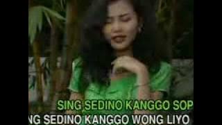 Bojo Loro - Cici Shahita.flv