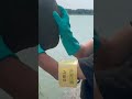 猛暑日に罠を仕掛けたらとんでもない物が!!!
