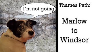 Walking the Thames Path (Marlow to Windsor)