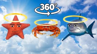 360° VR Holy Gegagedigedagedago