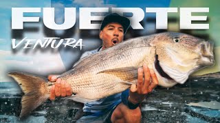 Esto SOLO OCURRE 2 Veces en la VIDA [Fuerteventura Trip] | Lured Vlog 291