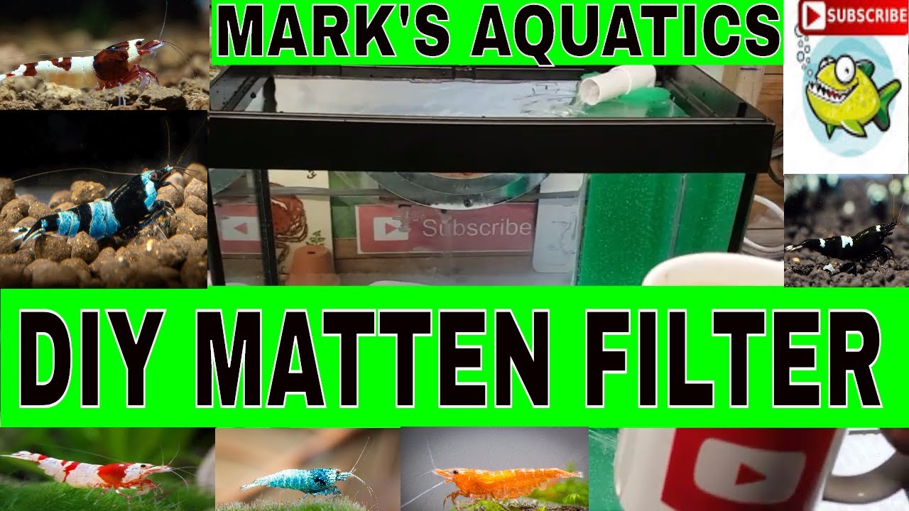 SHRIMP TANK MATTEN FILTER PART 1👍😀 YouTube