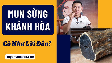 Vén Màn Sự Thật: Sự Sang Trọng và Huyền Bí của Gỗ MUN SỪNG KHÁNH HÒA có như lời đồn?| Đồ Gỗ Mạnh Sơn