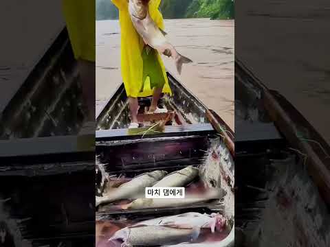 댐이 물을 방류하는 진짜 이유! #DamDischarge #FloodPrevention #CivilEngineering