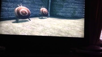 Skyrim crossbow bolt glitch