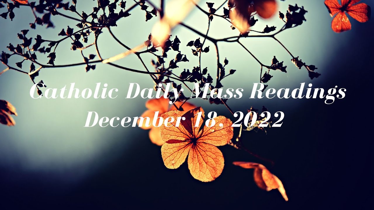 Today's Bible Reading | Daily Bible Mass Reading | Sunday. December 18, 2022 |  First Reading