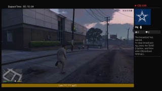 Gta 5 Havoc In The Streets Raraa