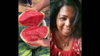 #fruit 🍍🍎🍓🍇 #cactus 🌵 #food 🍲 #fruitcutting #plants 🌱 #farming #funny #garden 🌹🏡 #nature 🌿🍃🌿🍃