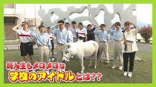 【ニュース特集】新入生もメロメロになる学園のアイドルって…