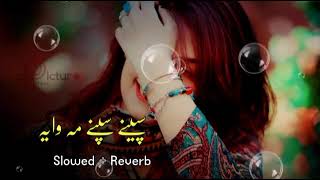 new pashto song