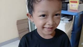 Kucing Maher Lahir 4 Anak Kucing Lucu