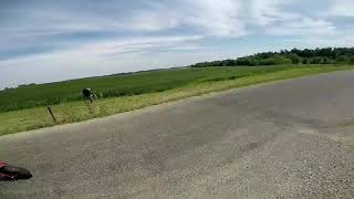 5hp vs 6.5hp minibikes