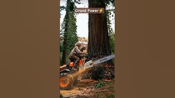 Wait... Don’t Mess With Grandma! 🪓🌲🔥 | Lumberjacks vs Giant Tree⚠️#shorts#stihl#grandma#treecutting