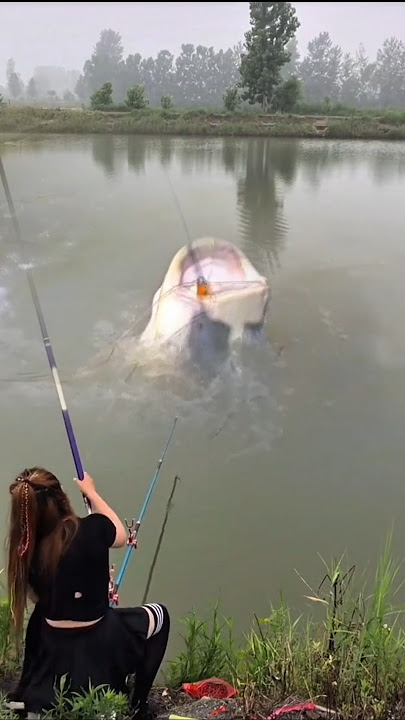 Strike ikan lele besar, Cewek cantik mancing😍 #beautifulgirl #fishing #mancing #shorts