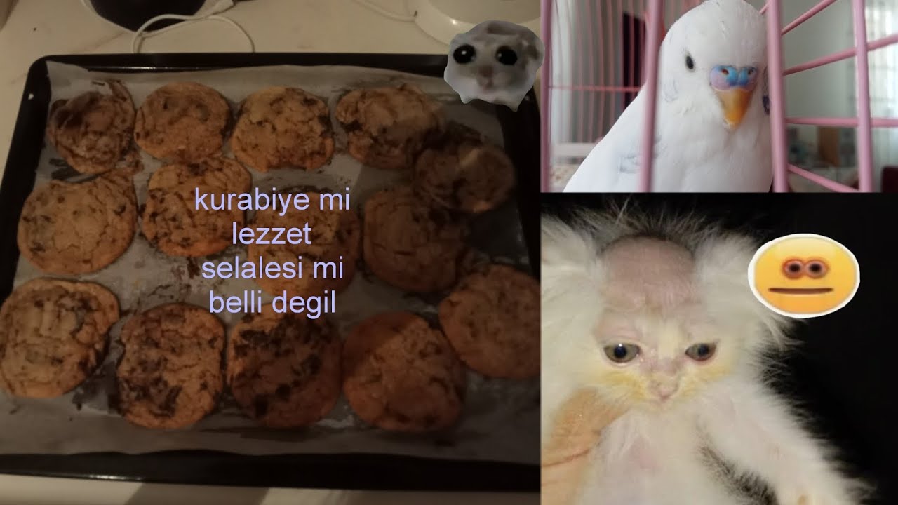 cikolata parcacikli kurabiye yapiyoruz kalkin