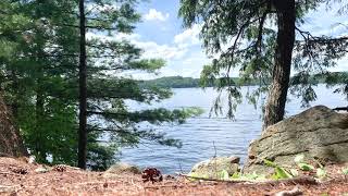 Sounds from the Lake [90+ MINS]