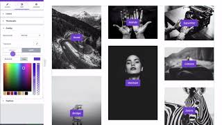 Gallery Extra Addon for Elementor — Extras for Elementor Net Worth