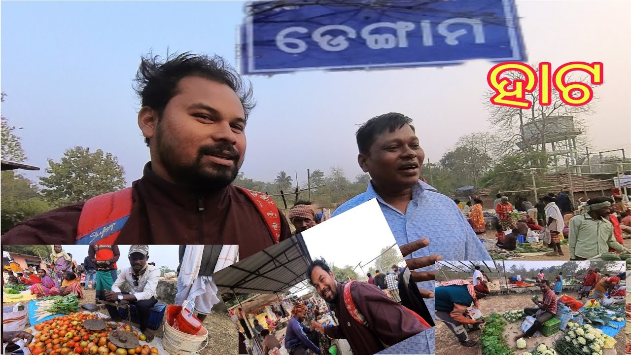 ଡ଼େଙ୍ଗାମ ହାଟ#SIMILIPAL ପାଦ ଦେଶ ରେ ଥିବା ପାହାଡିଆ ହାଟ@thakurpupunvlogs