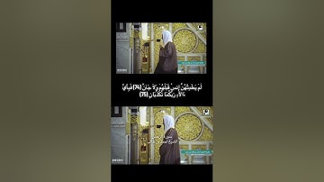 سورة الرحمن الشيخ بندر بليلة والشيخ أحمد بن طالب