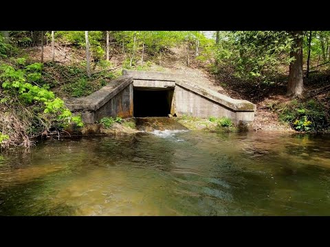 Video: Barajele din Michigan erau proprietate privată?