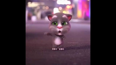 Thumbnail of Nhạy theo điệu nhảy của các chú mèo nào các bạn ơi
