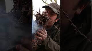 Make Fire with Mushroom #bushcraft #survival #alone