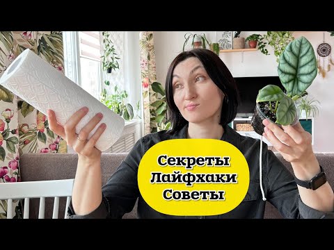 Лайфхаки, которые действительно работают! Советы и приемы для комнатного цветоводства