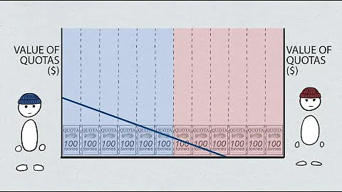 Fisheries Economics & Policy: Individual and Transferable Quotas