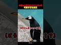 水槽から飛び出したペンギン本人もパニックww