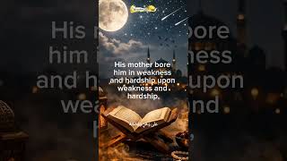 Honor Your Parents 🤍 | A Beautiful Quran Reminder About Gratitude #dua #quran #allah #دعاء #قرآن