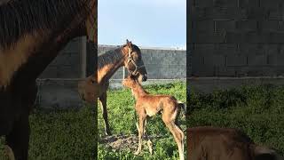 Даны Бир Бээ алдым 10 апреля 2026 г.