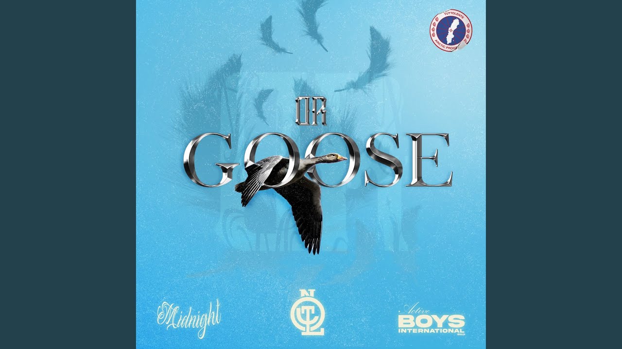 GOOSE